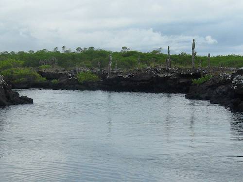 Segeln um die Welt - Galapagos