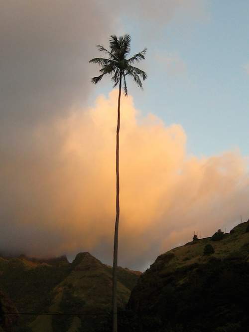 Segeln um die Welt - Marquesas Inseln