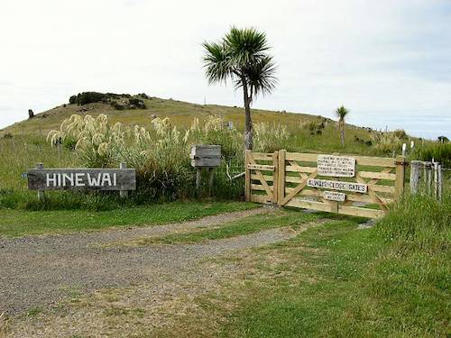 Segeln um die Welt - Neuseeland