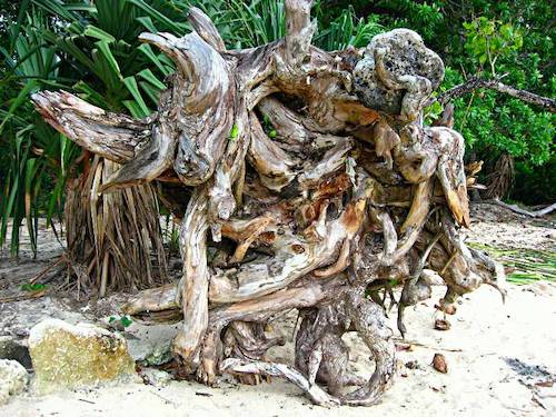 Segeln um die Welt - Vanuatu