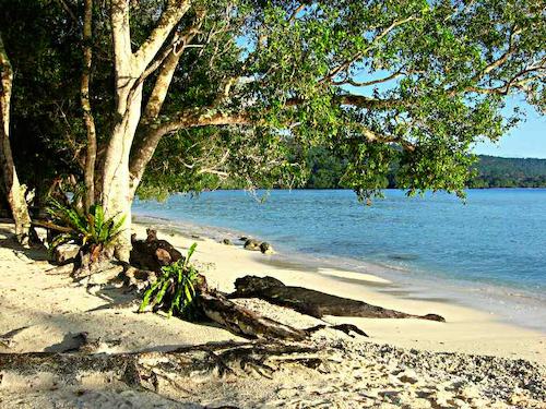Segeln um die Welt - Vanuatu